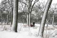 photo 0312